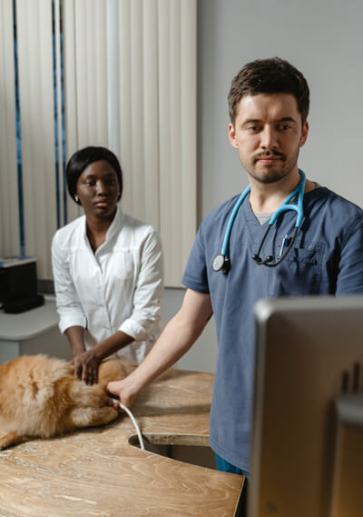 Veterinarians with a Dog