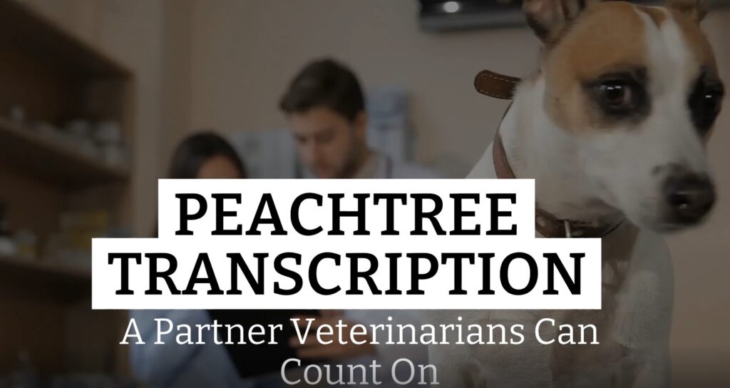 Veterinary Transcription