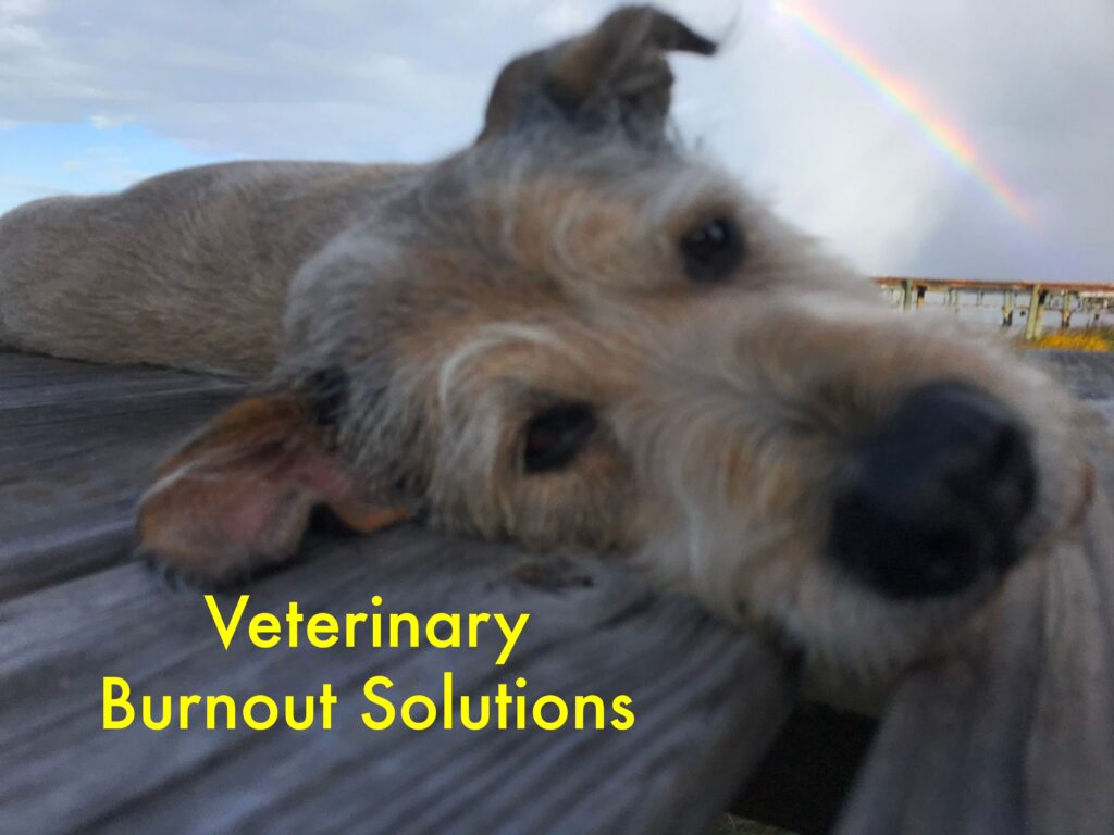 Peachtree Transcription Veterinary Burnout Solutions
